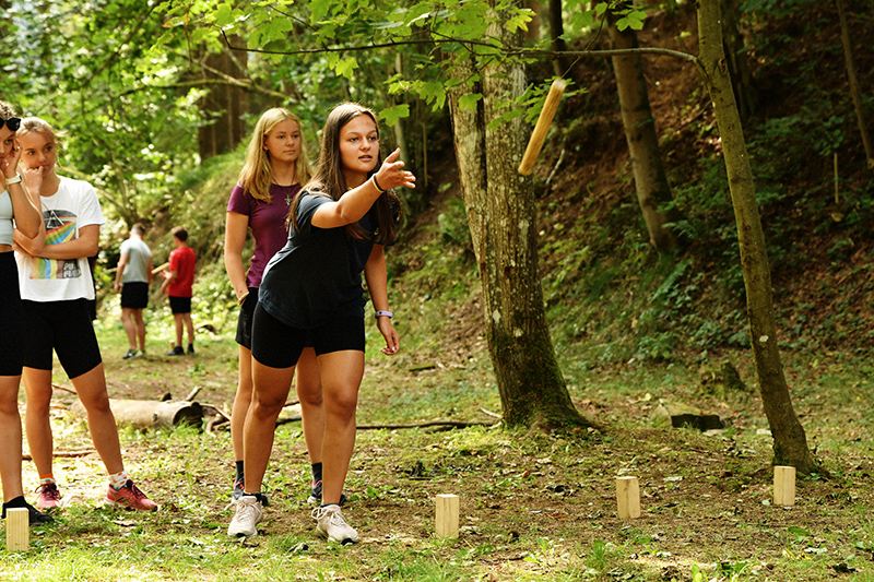 Vikingsk&eacute; &scaron;achy